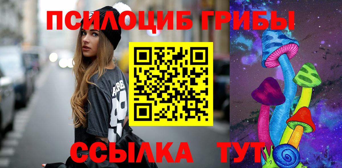 Галлюциногенные грибы Cubensis Нефтекумск