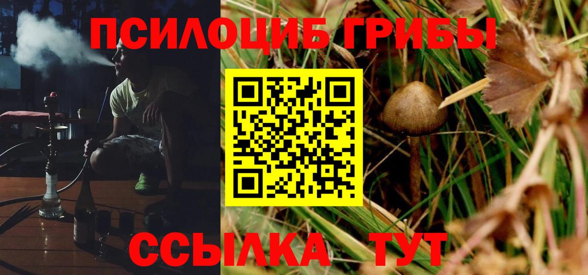 Псилоцибиновые грибы Magic Shrooms  Псилоцибиновые грибы MAGIC MUSHROOMS  Вход с VPN  Нефтекумск 
